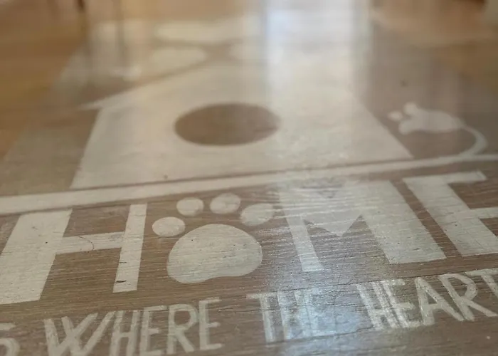 アパート 81, Bright Miniloft With View